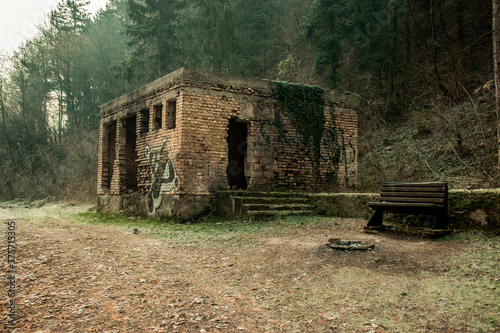 Old House in a Forest