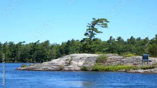 Lone Windswept Pine  on granite Island in the Georgian Bay Islands National Park Ontario Canada photo
