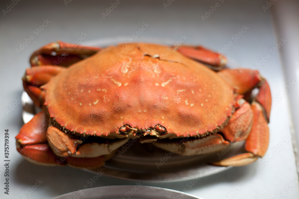 Crab On A Plate Crab On A Plate