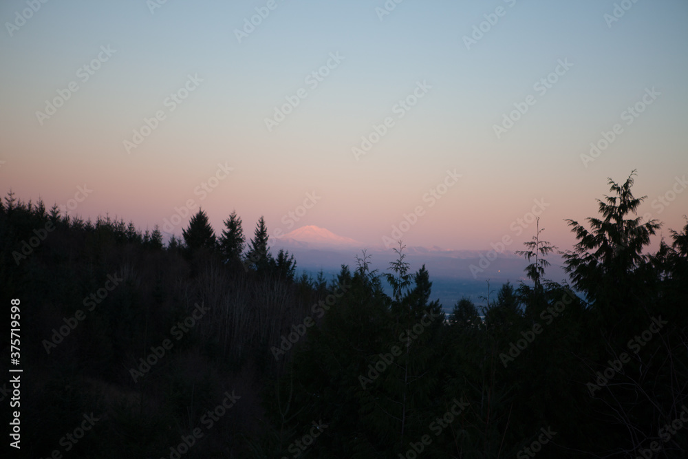 Tree line silhouette at sunset Tree line silhouette at sunset