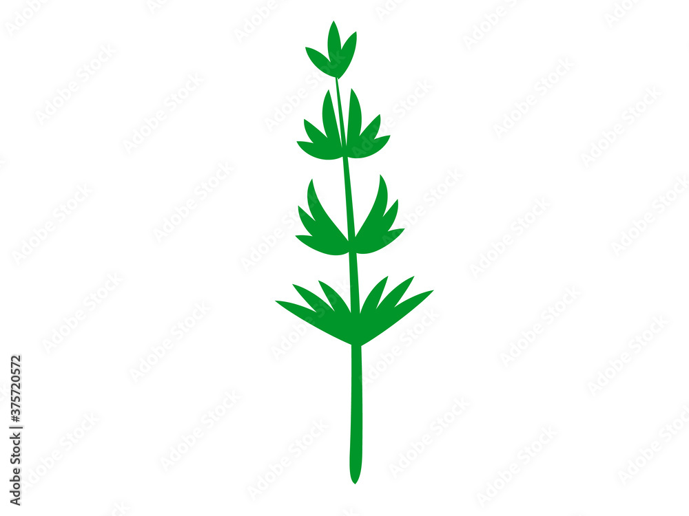 Fototapeta premium Green abstract leaf icons naturalon white background. Vector illustration.