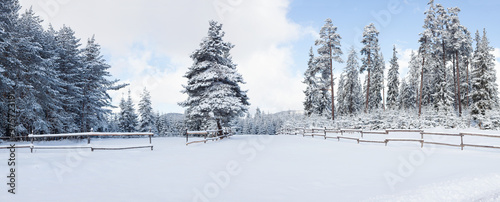 Winter Snowy Panorama photo