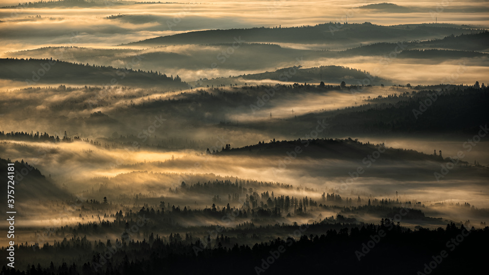 Sunrise over the mountain forest. Bieszczady National Park. Carpathian Mountains. Poland.