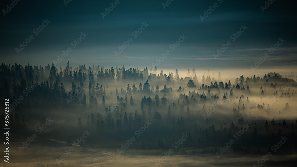 Fototapeta premium Sunrise over the mountain forest. Bieszczady National Park. Carpathian Mountains. Poland.