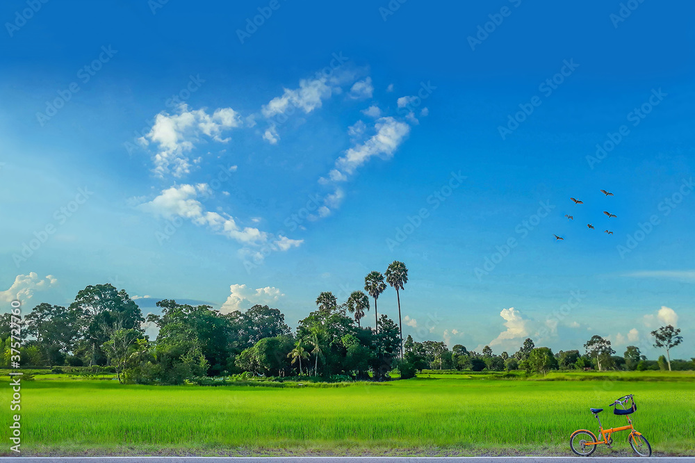 The countryside, green paddy rice field with beautiful sky cloud in upcountry Thailand.
