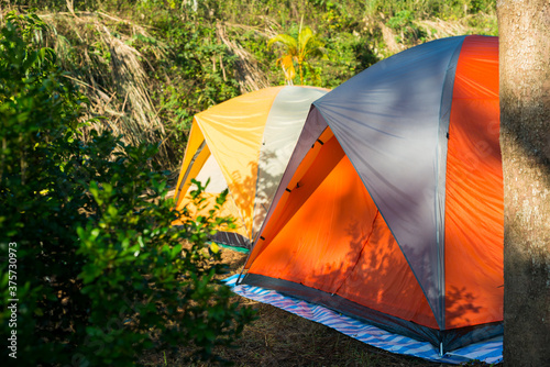 Orange and yellow tents building in forest photo