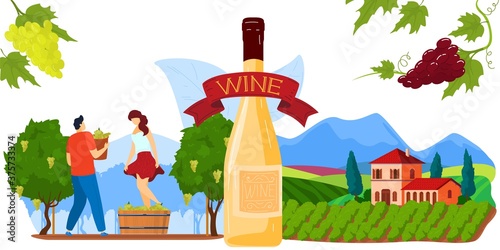 Wine grape production vector illustration. Cartoon flat producing alcohol wine drink concept with grapevines, winemaker characters, traditional winemaking process in vineyard landscape and big bottle