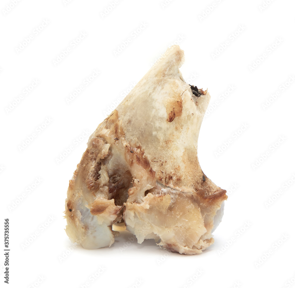 A large beef marrow bone on a white background.