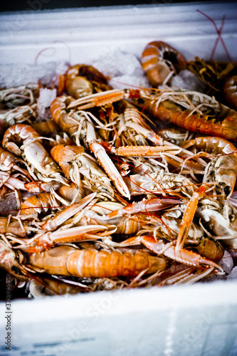 Langoustines photo