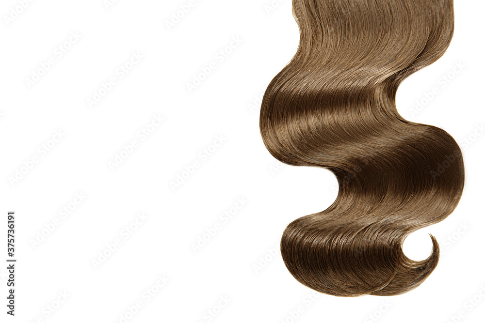 Fototapeta premium Curl brown hair on white background