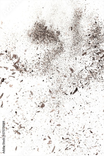 Small particles with a piece of dirt dust on a white background. Wood bark shavings.