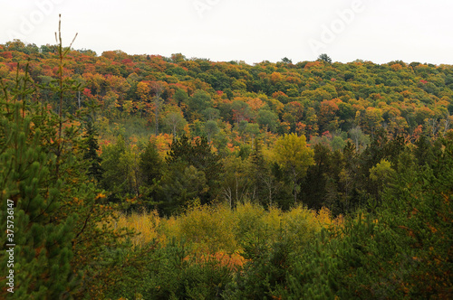 Fototapeta Naklejka Na Ścianę i Meble -  Autumn scenery landscape stock photos. Autumn scenery landscape showing colourful nature scene with sky. Image. Picture. Portrait.