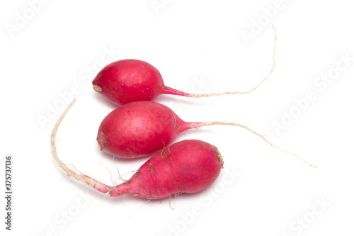 Red radish isolated on a white background.