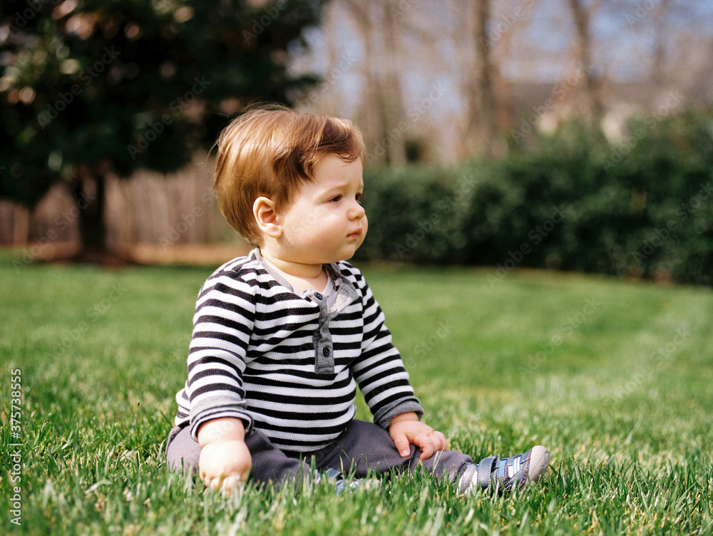 Cute boy toddler sitting on grass Cute boy toddler sitting on grass