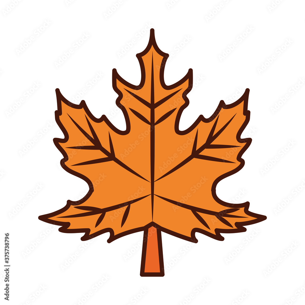 maple leaf foliage autumn line and fill icon maple leaf foliage autumn line and fill icon