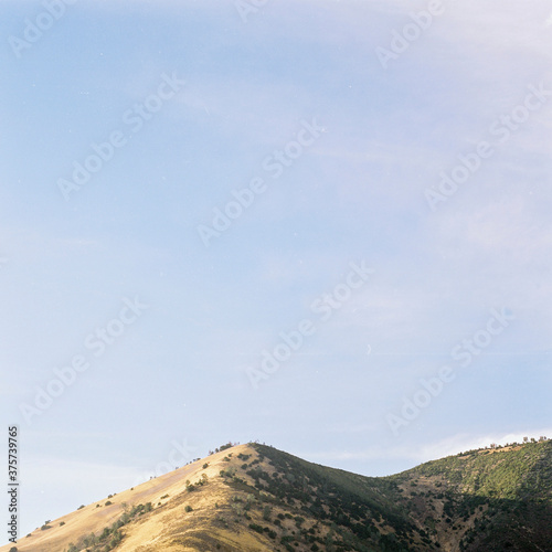Lush rolling hillside