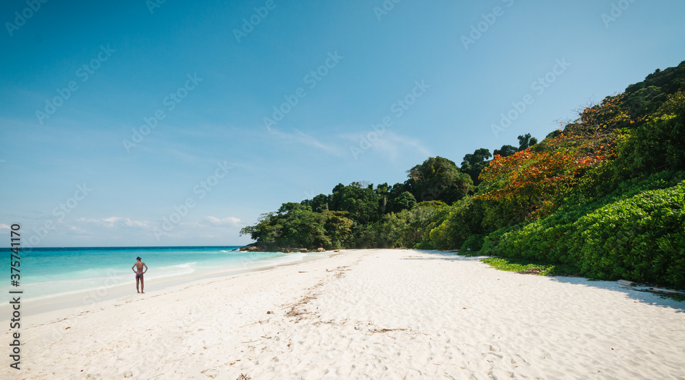 young woman standing on a tropical beautiful beach with colorful forest young woman standing on a tropical beautiful beach with colorful forest