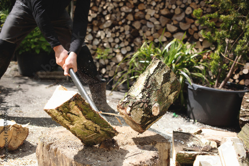 Making firewood out of treetrunks photo