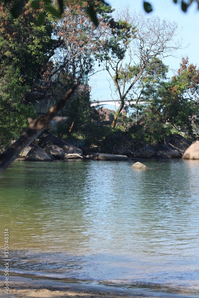 Naklejka premium the river in the forest