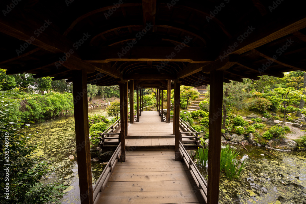Japanese garden in Kyoto, Japan.