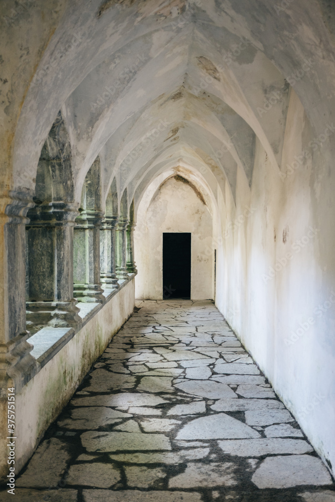 A hallway in the ruins of Muckross Abbey A hallway in the ruins of Muckross Abbey