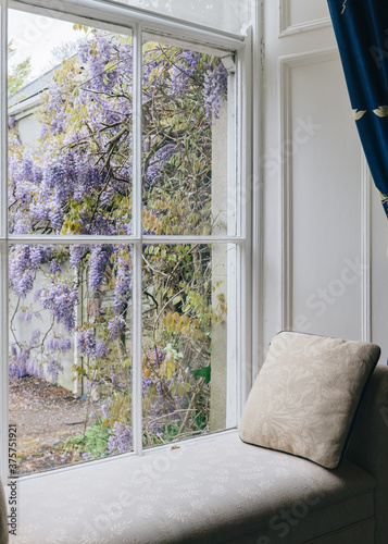 Window seat looking out over wisteria vines photo
