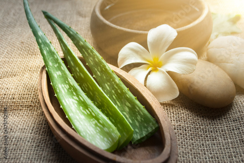 Aloe Vera (Aloe barbadensis Mill.,Star cactus, Aloe, Aloin, Jafferabad or Barbados) a very useful herbal medicine for skin treatment and use in spa for skin care.
