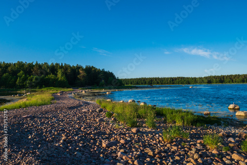 Beautiful coastline filled with small stones mixed with grass. Bright sunny morning on the ocean coast. Beautiful nature.