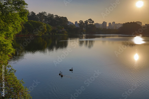 Final de tarde em parque com muito verde na cidade de São Paulo. Por do sol no lado do parque.