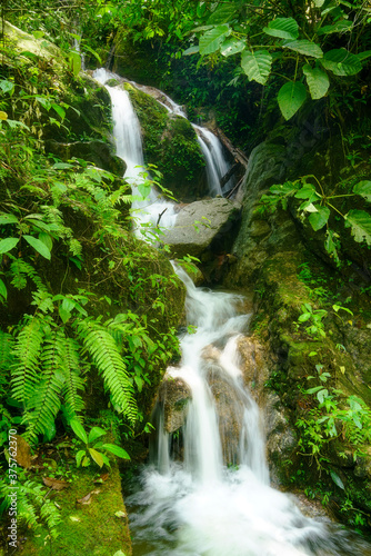 waterfall in the jungle