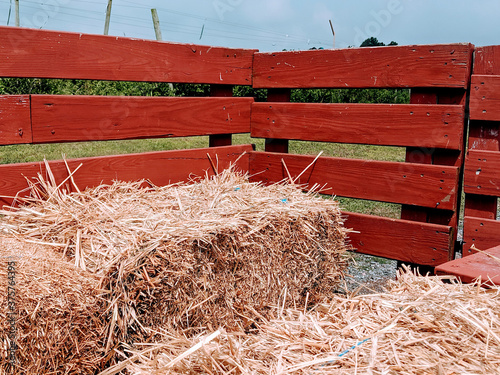 Empty Red Hayride Wagon with Hay Bales on a Farm's Green Pasture for Fall Fun