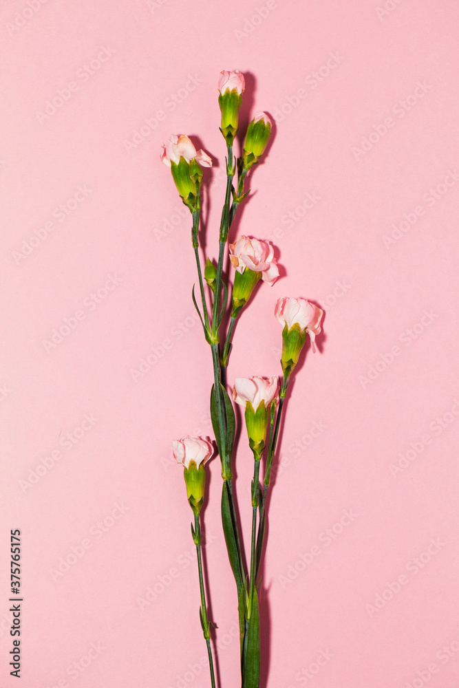 Beautiful small pink flower