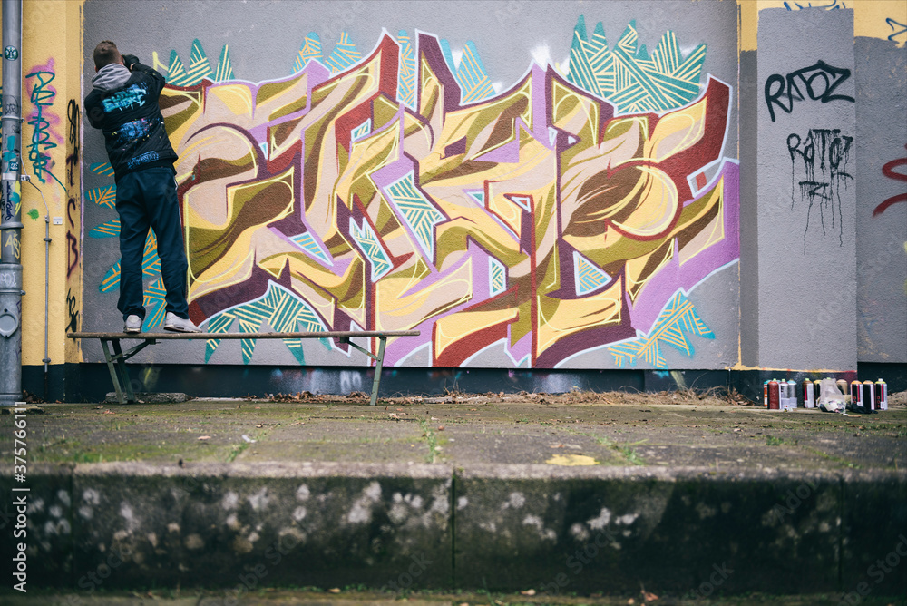 Graffiti Artist Graffiti Artist