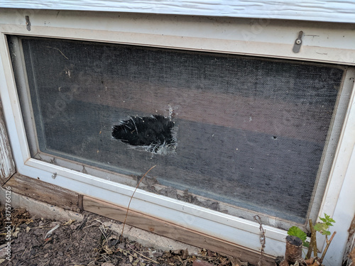 Ripped Hole in Old Window Screen of Rectangular Basement Window that Needs Repairs