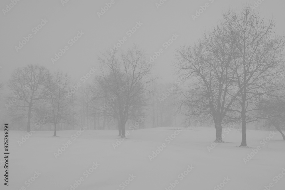 Black and white winter snow on the landscape Black and white winter snow on the landscape