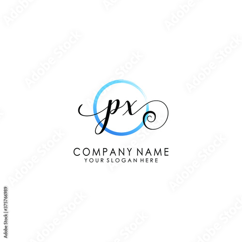 PX Initial handwriting logo template vector