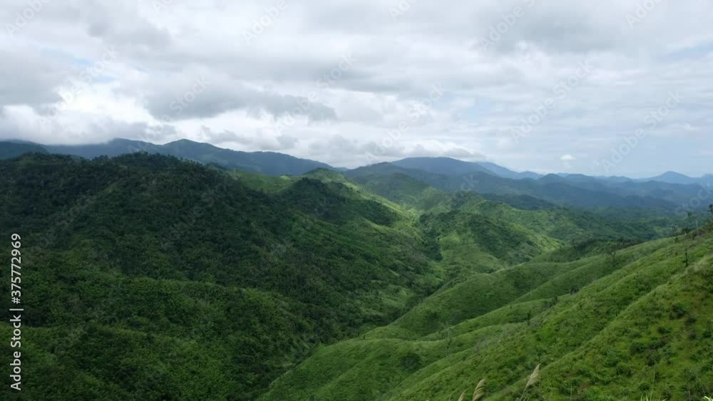 Landscape greenery rainforest mountains ranges and hills Landscape greenery rainforest mountains ranges and hills