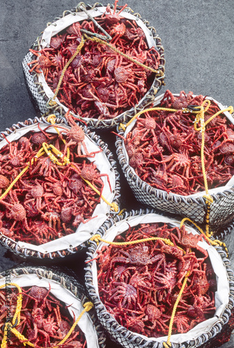 Brailers full of Golden king crab sitting on a dock of a fish processing plant photo