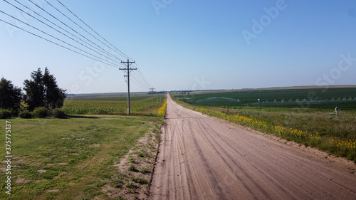Dirt Road