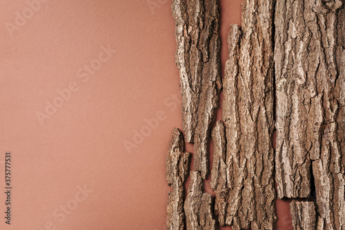 Creative composition for design with bark tree, wooden texture on brown background for organic cosmetic products. Top view. Copy space. Environmentally clear nature concept