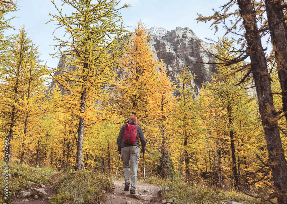 Fototapeta premium Autumn in Canada