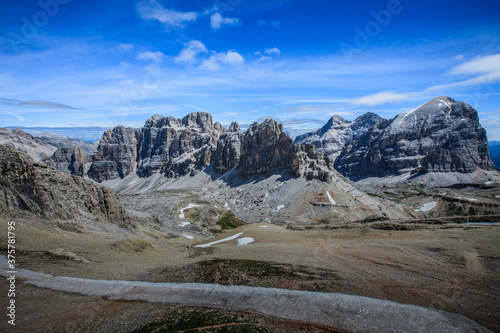 landscape forest in trentino with dolomiti mountain