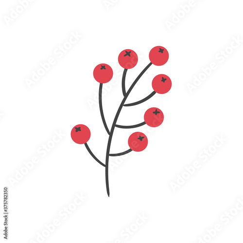 Cartoon vector branch rowan fruit