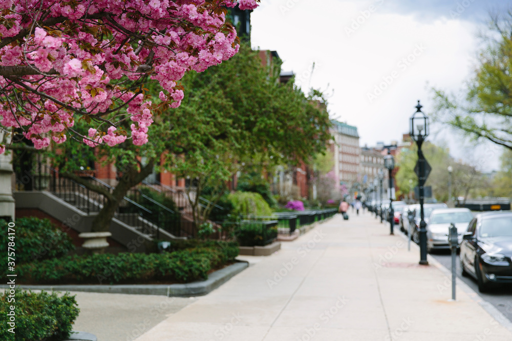 Streets of Boston in Spring