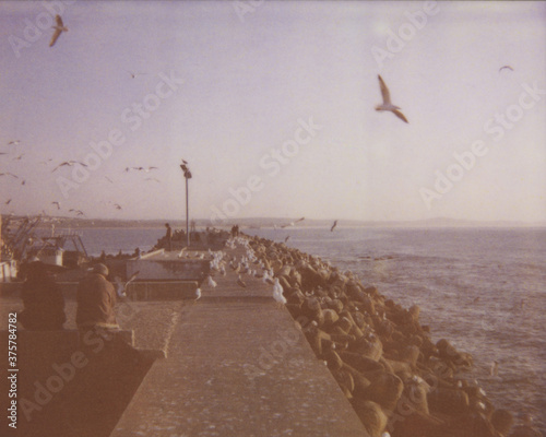 Couple and birds on the Breakwater of the Harbor in Essaouria, Morocco photo