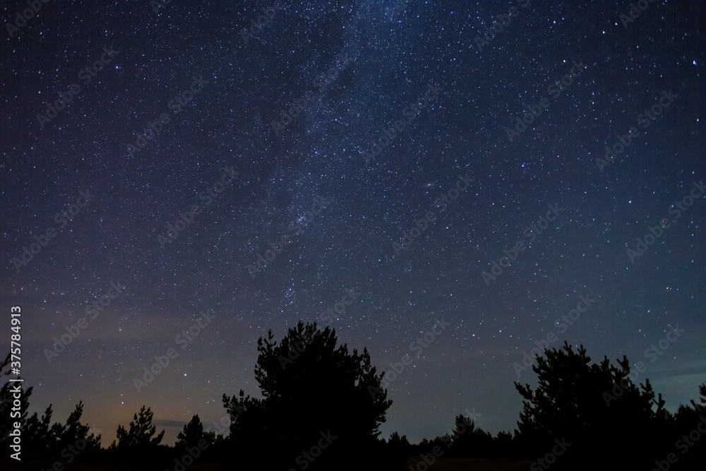 forest silhouette under starry sky with milky way, beautiful night outdoor background forest silhouette under starry sky with milky way, beautiful night outdoor background