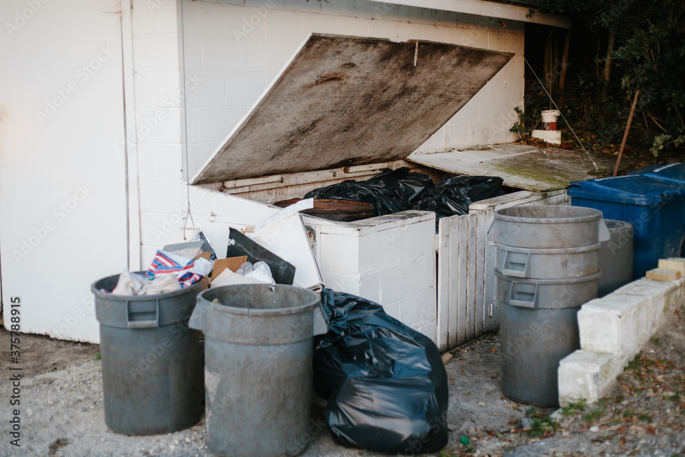 Garbage cans and bags with recycling in trash dumpster Garbage cans and bags with recycling in trash dumpster