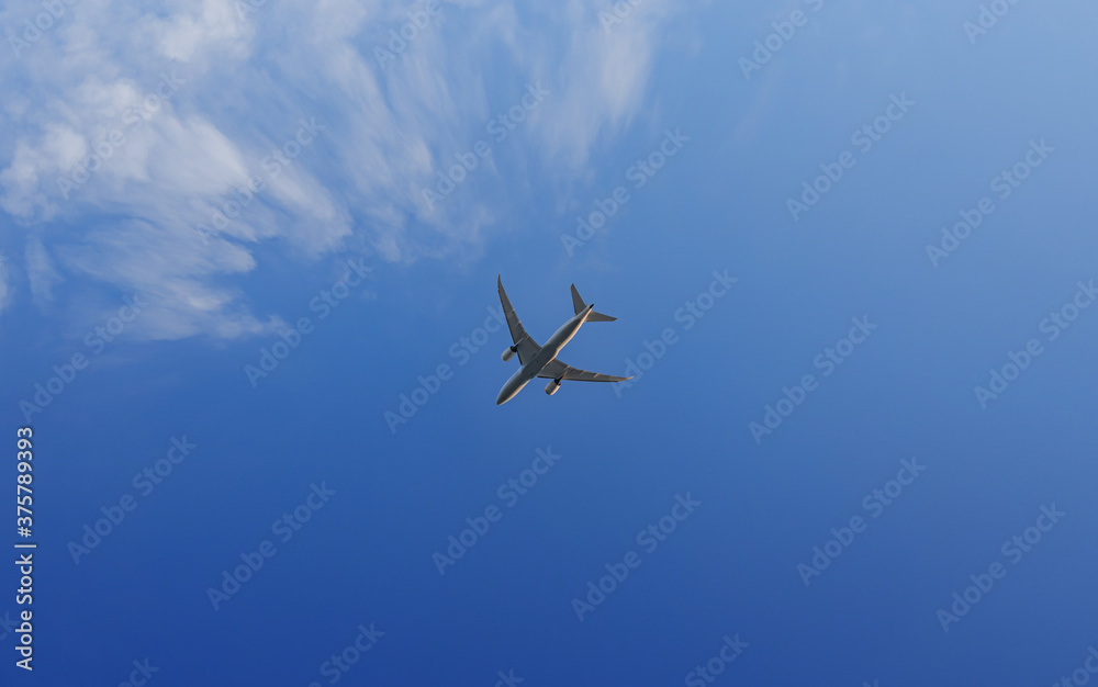 Fototapeta premium 見上げた空を飛ぶ旅客機
