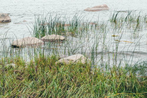 The Gulf of Finland in Peterhof park with a rocky shore. Close up.