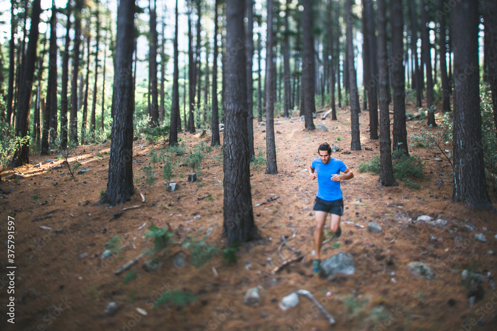 Fit active man running a trail through a forest Fit active man running a trail through a forest